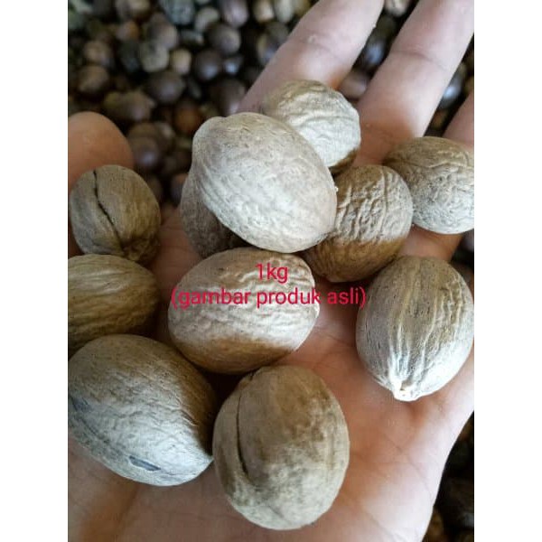 

BIJI PALA KUPAS 1KG BULAT SUPER