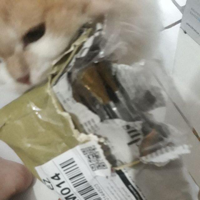 Kuas Kuningan Besar / Kuas Kuningan Jumbo