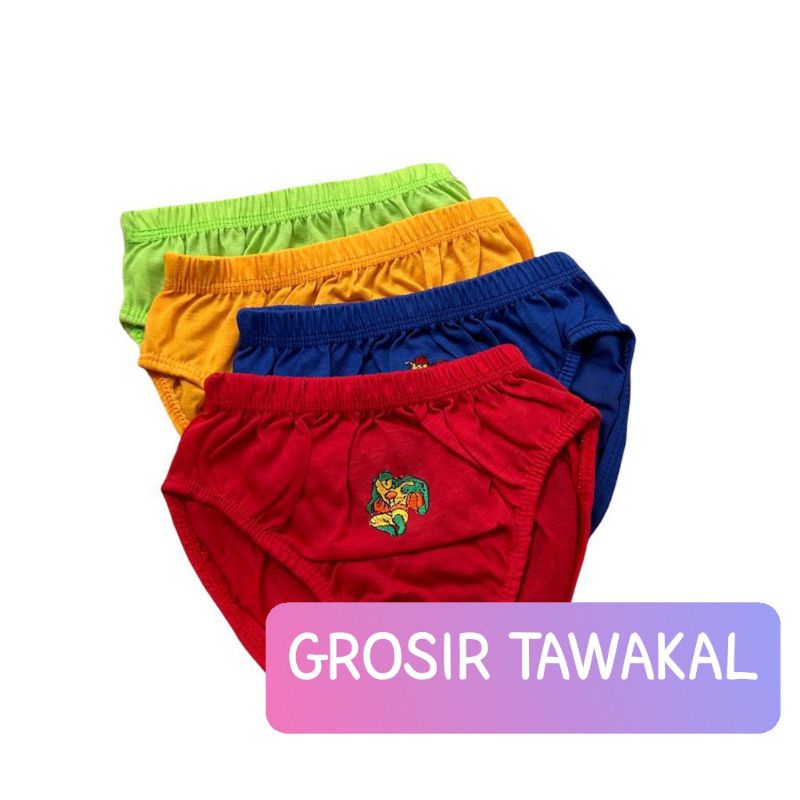 Celana Dalam Anak Laki Laki/Slempak Anak 6 Pcs-12 Pcs/Sempak 1-12 Tahun/Termurah/Terlaris/Diskon/Bah