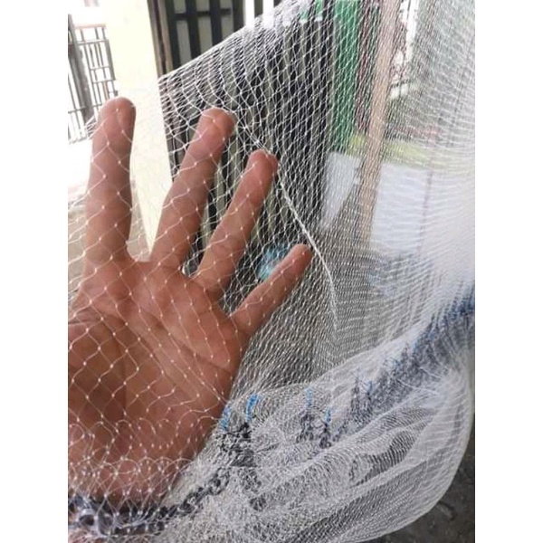 jala udang 3/4 panjang 2,5 meter berat timah 4 kg