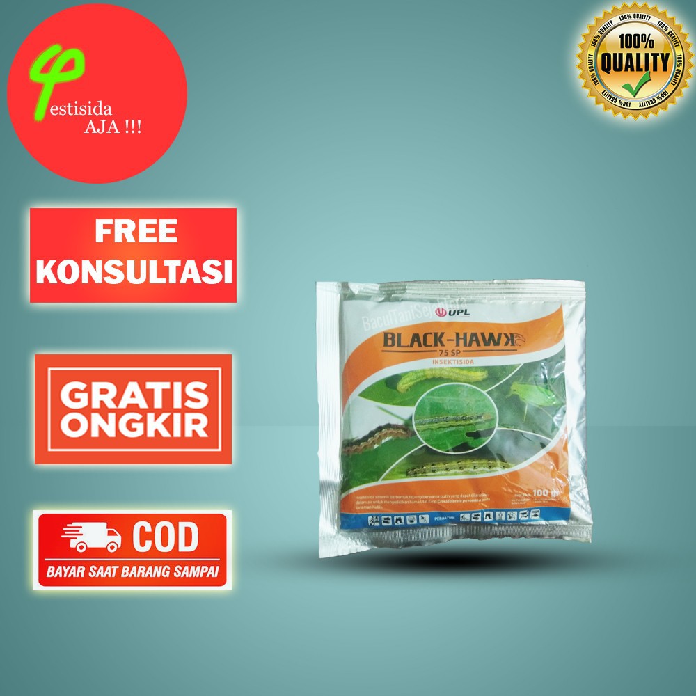 BLACK HAWK 400 GRAM INSEKTISIDA PEMBASMI ulat krop Crocidolomia pavona