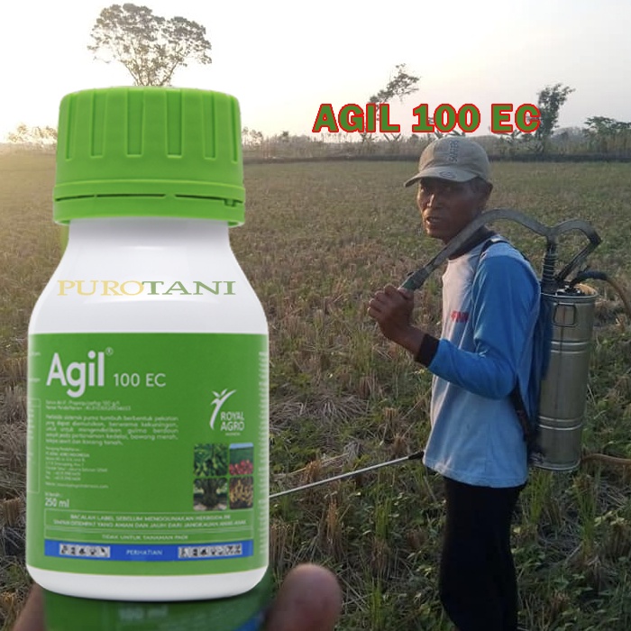 Obat rumput herbisida sistemik AGIL 100ec 100ml