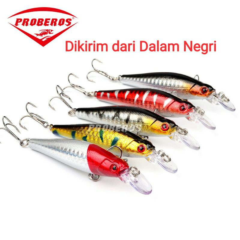 Paket Umpan pancing lure minnow 5 pcs mix hard bait impor merk proberos