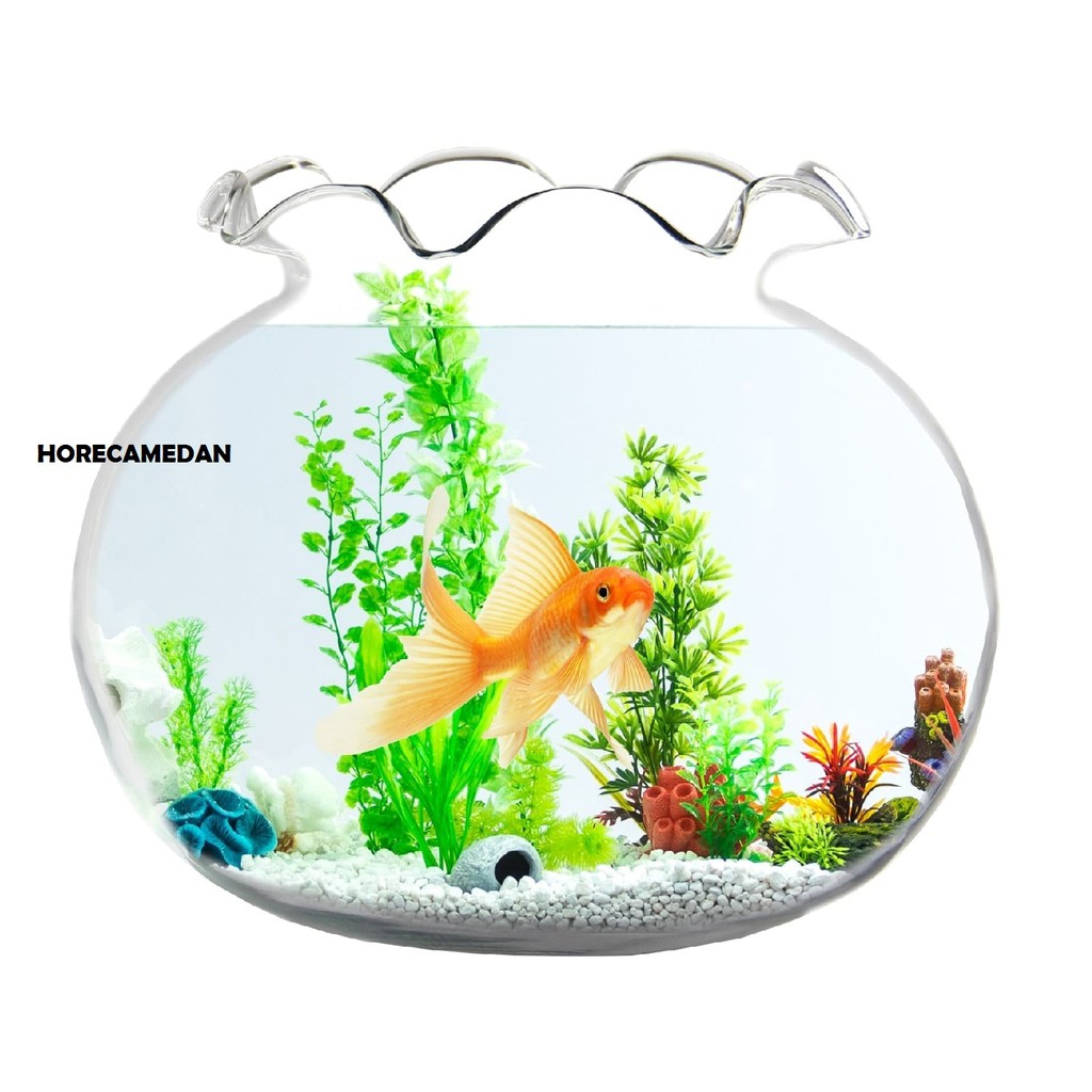 DLX Fish Bowl Kaca Aquarium Kaca bulat Jerex Shella kecil min 1,5liter besar max 17liter