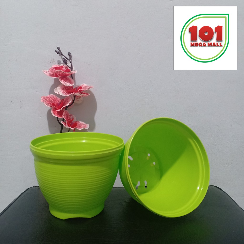 Pot Lebah 15 cm Hijau