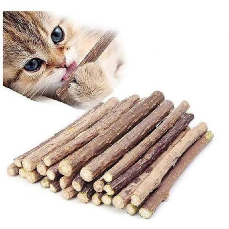 CATNIP Stick Snack Kucing,Catnip Murni Natural Penghilang Stres 1pcs