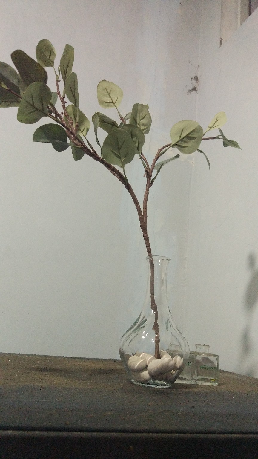 Euca. Eucalyptus Artificial