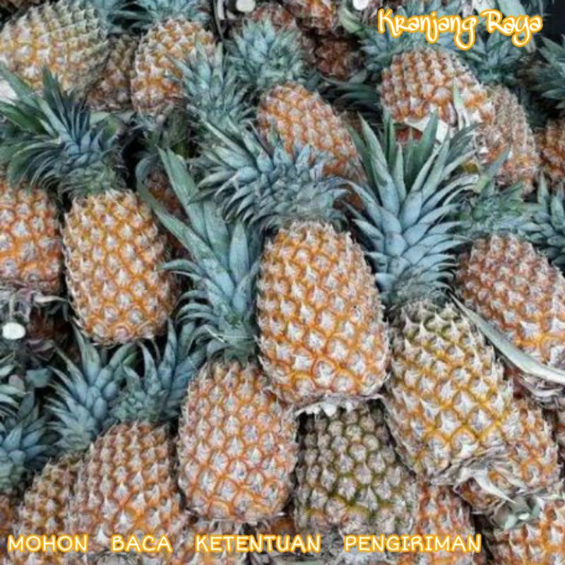 

Nanas per buah