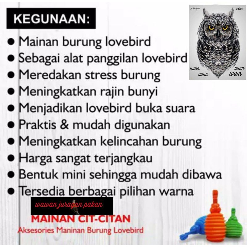 mainan lovebird, cit citan,cit-citan