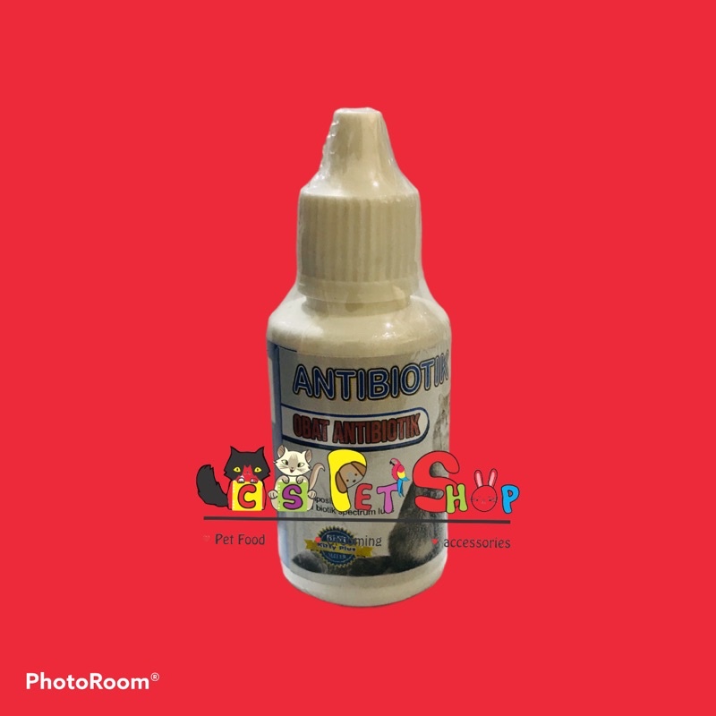Antibiotik kucing