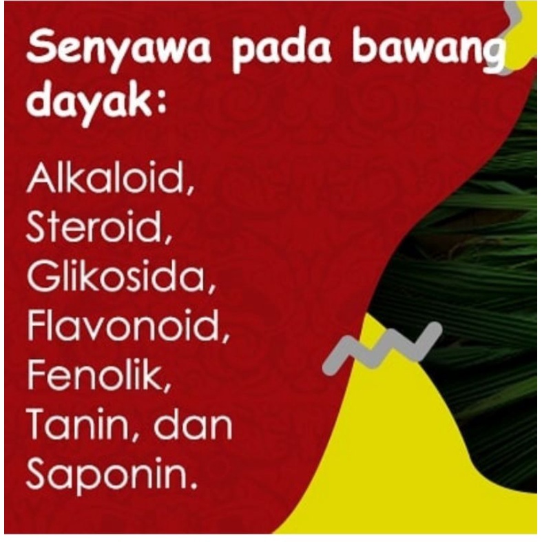 Teh Bawang Dayak TeaWai asli Kalimantan Kutai Katanegara oleh oleh Borneo