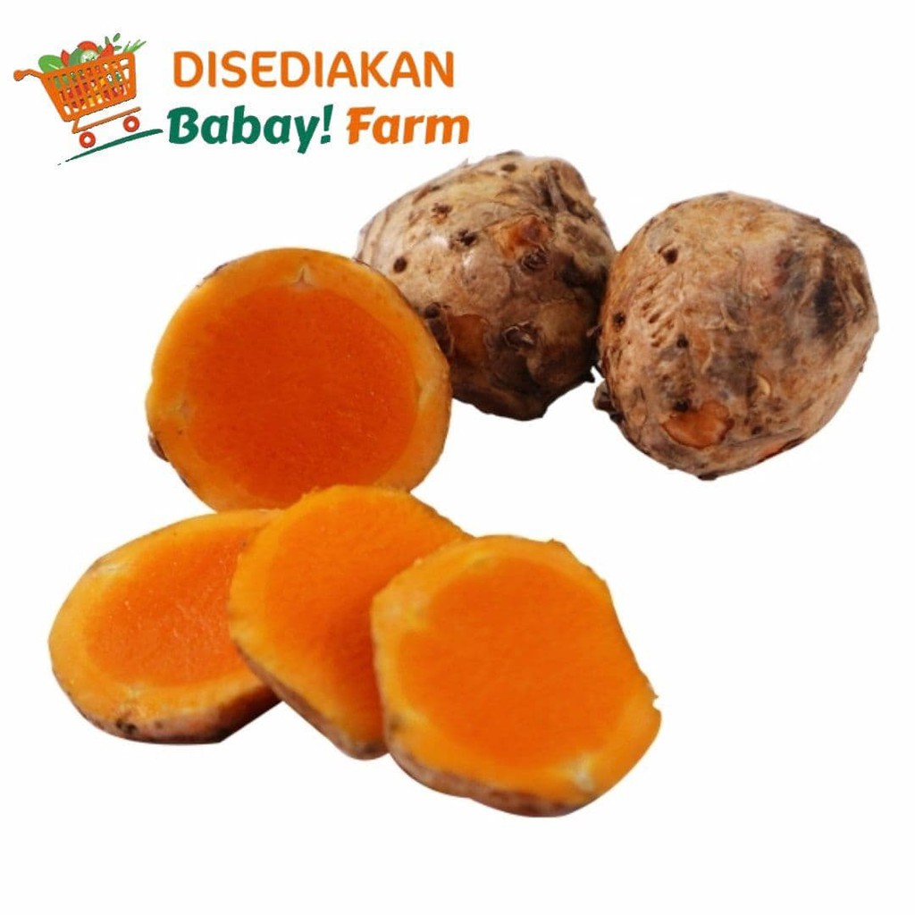 

Temulawak 250 gram