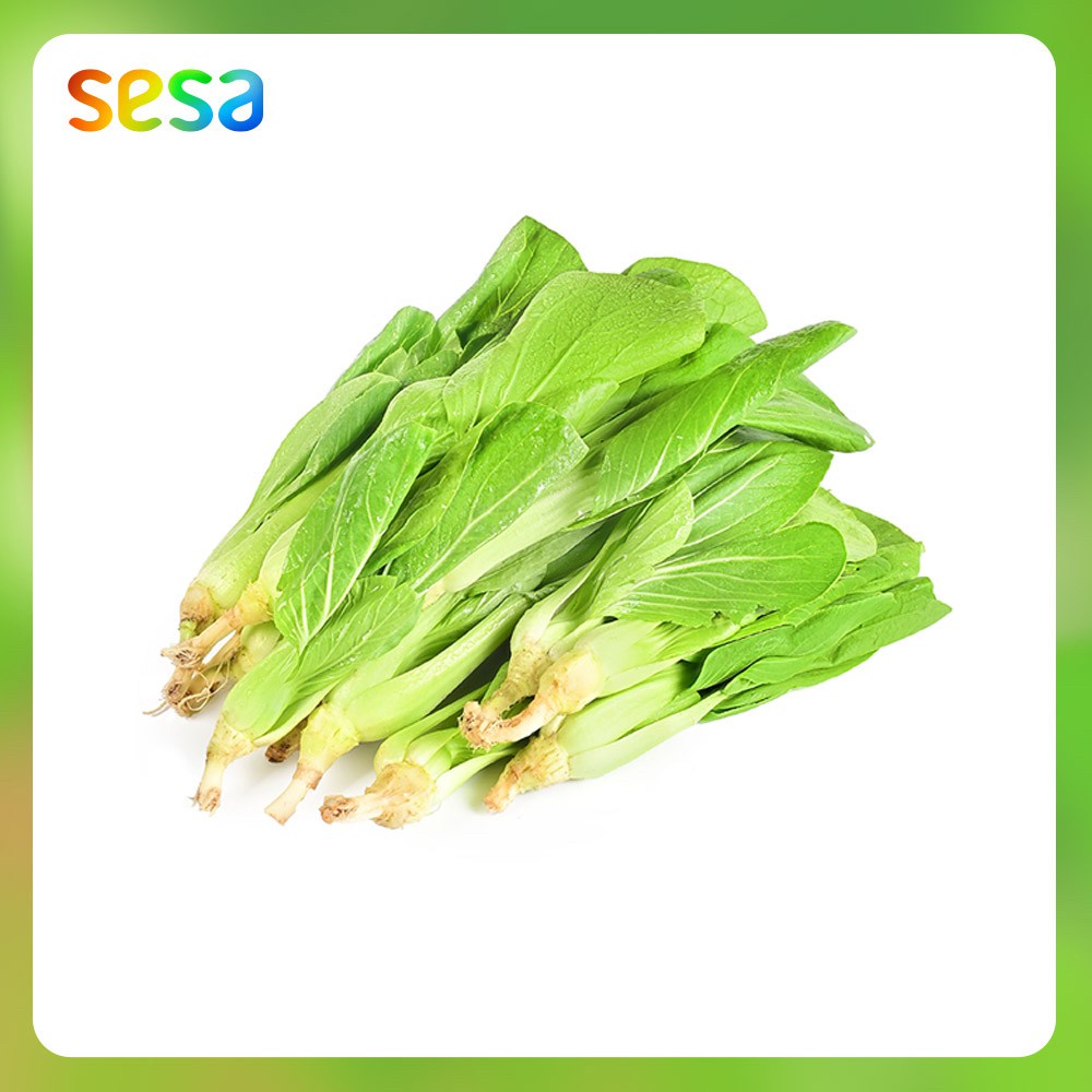 

Baby Pak Choi (Pakcoy) Organik 200 g