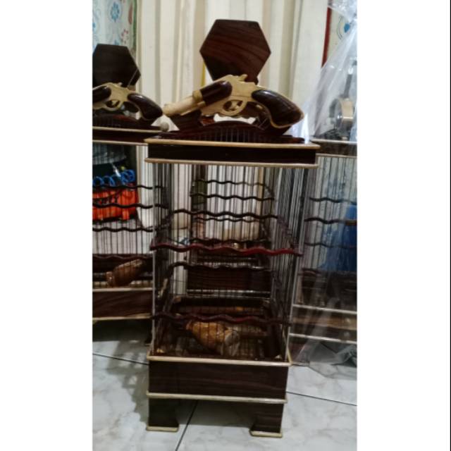 Sangkar sonokeling PLECI