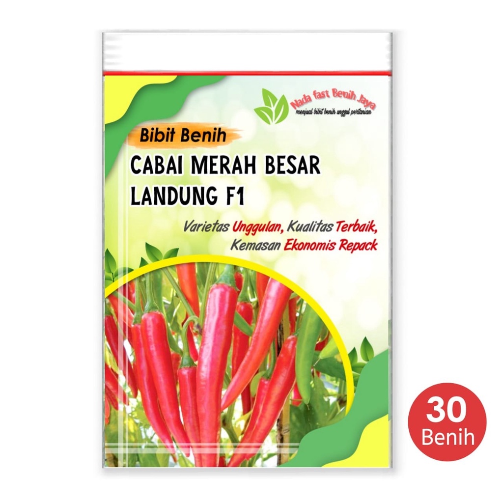 Nada fast benih jaya - 30 biji Benih cabe merah besar landung F1 - bibit cabai merah unggulan