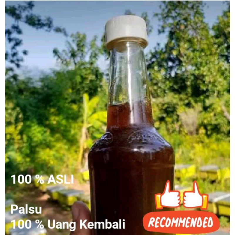 

Madu Asli/Murni Dari Lebah Pilihan