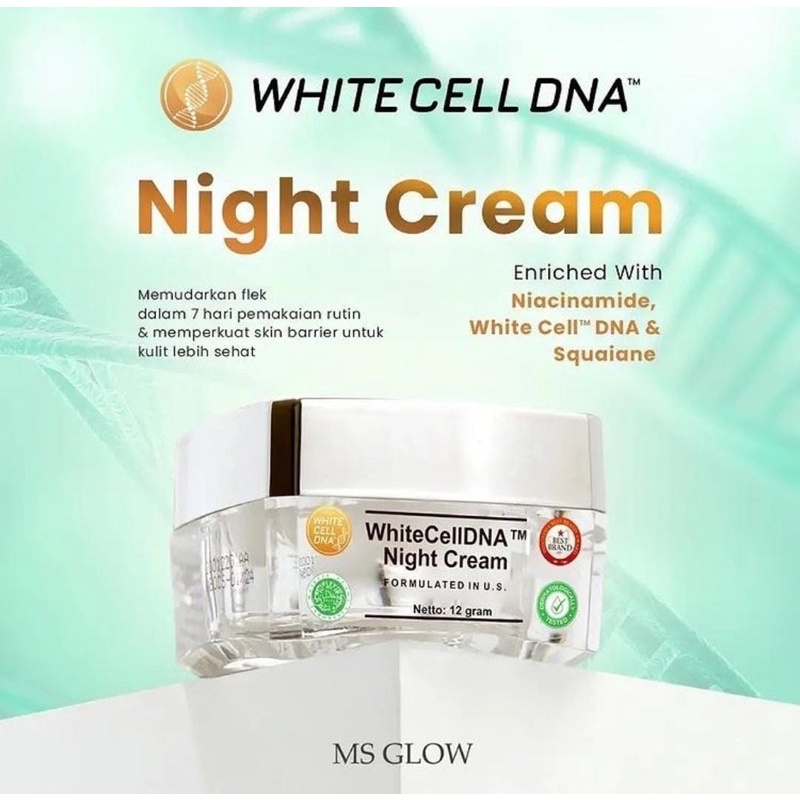 Ms glow night cream white cell dna / krim malam ecer ms glow whitecell dna