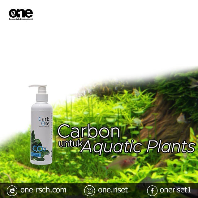 Carbon Cair CO2 Liquid Aquascape Aquarium - Evo Carb One 250 ml &amp; 100 ml