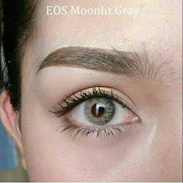 SOFTLENS FUZZY EOS MOONLIT GREY 14.5 MM NORMAL S.D -6.00