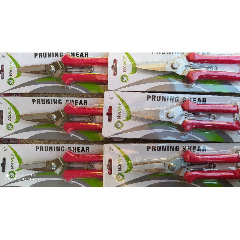 gunting pruning/ranting/dahan bonsai