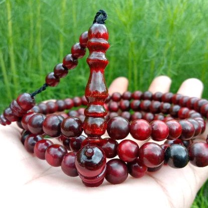 tasbih yuser akar Bahar merah asli