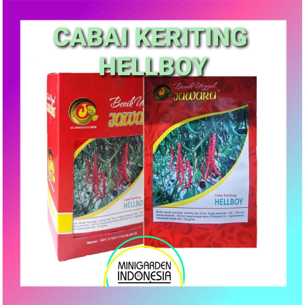 Cabai Merah Keriting HELLBOY PACK 10 GRAM  Benih Bibit Cabe Jawara ±2300 Biji