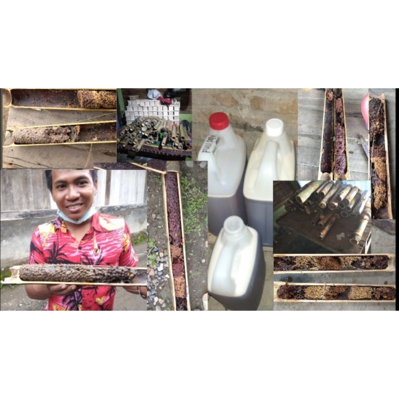

GROSIR 10kg Madu Trigona / Klanceng / Kelulut / Teuweul Asli Murni 100%