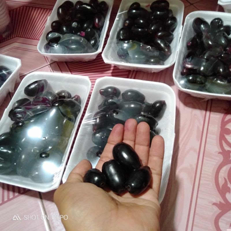 

Buah jamblang langka ngidam