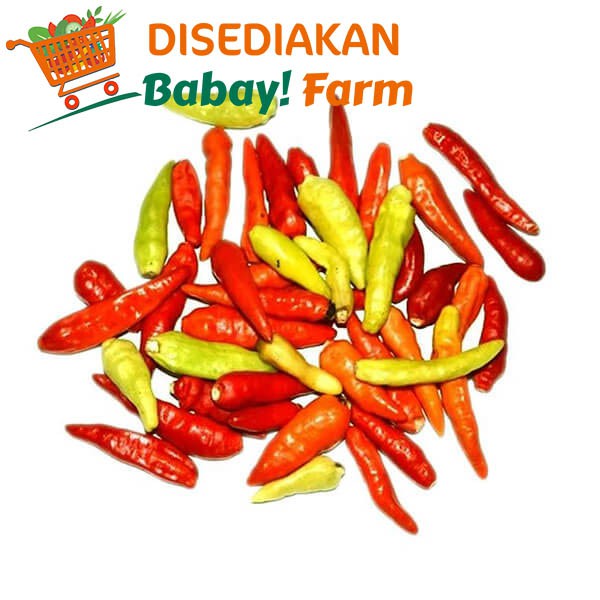 

Cabe Rawit Merah 250 gr