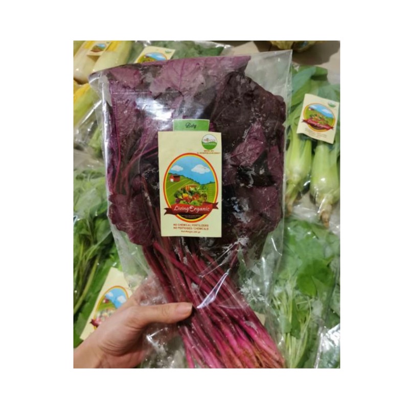 

Bayam Merah || Red Spinach || 200 gr || Sayuran Organic