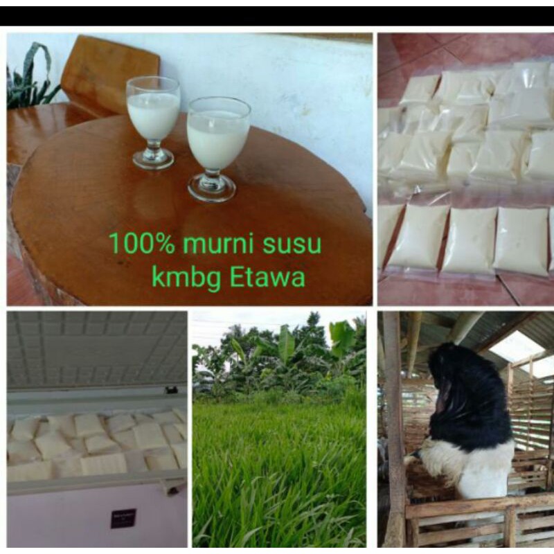 

susu kambing ettawa ukuran +-200ml (matang/hangat)