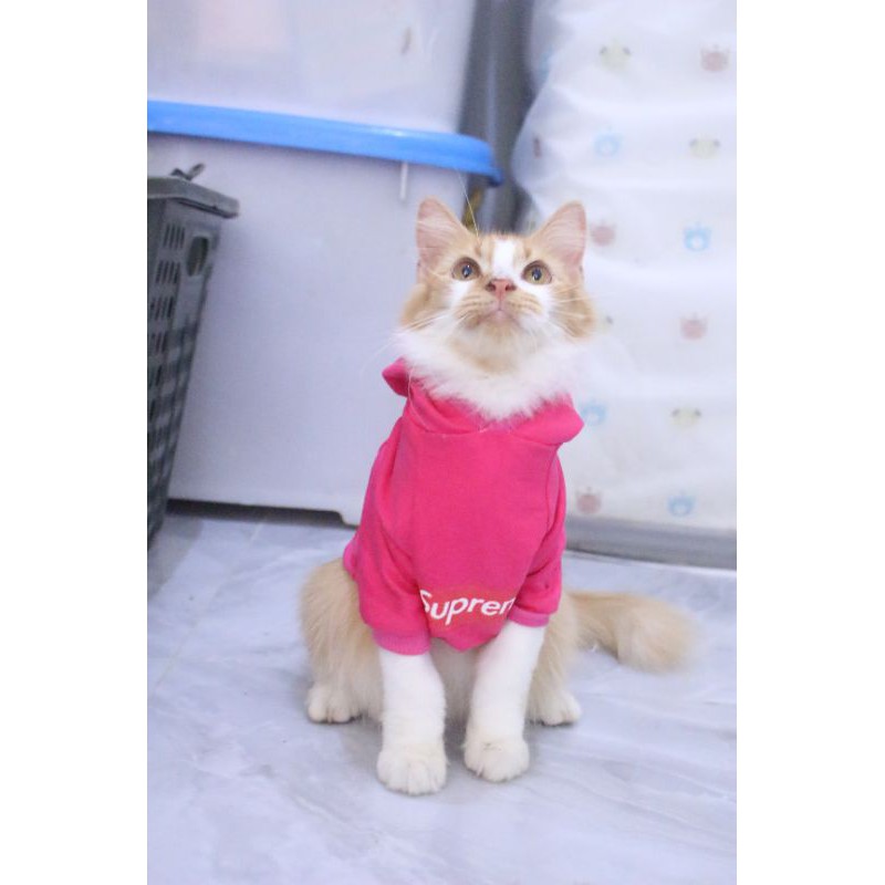 Kaos Hoodie Supreme kode #002 lucu untuk kucing &amp; anjing / baju kucing murah size S-XL