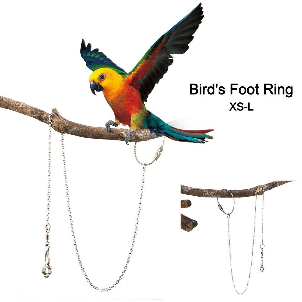 Solighter Bird's Foot Ring Anklet Bird Aksesoris Stainless Steel Pelatihan Terbang Ankle Foot Ring