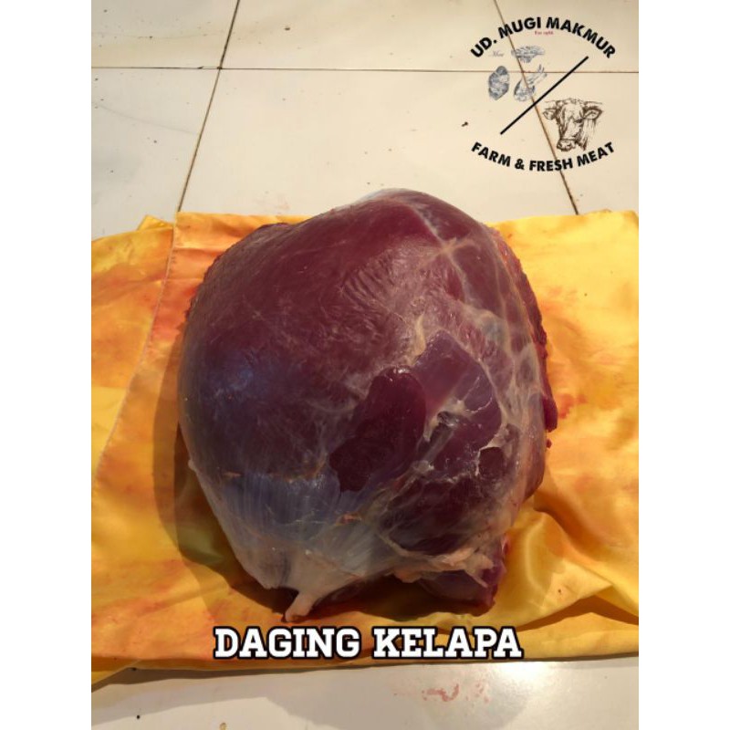 

Daging Kelapa