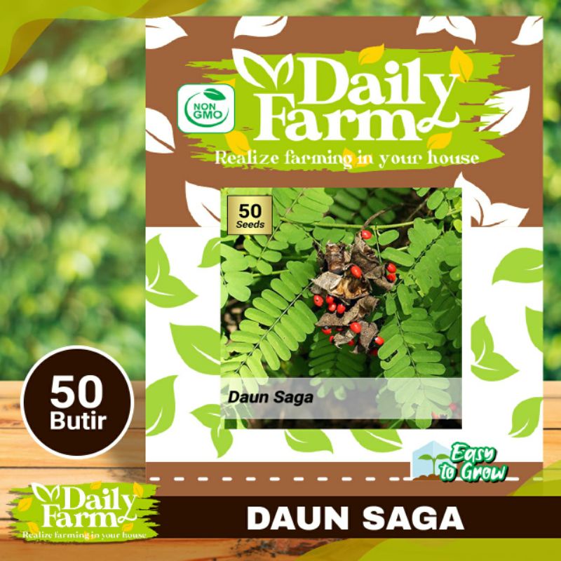 Jual Benih Daun Saga Benih Tanaman Daun Saga Daily Farm Shopee