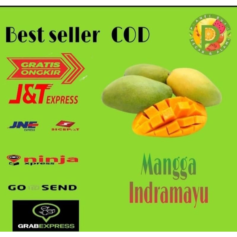

BUAH MANGGA INDRAMAYU