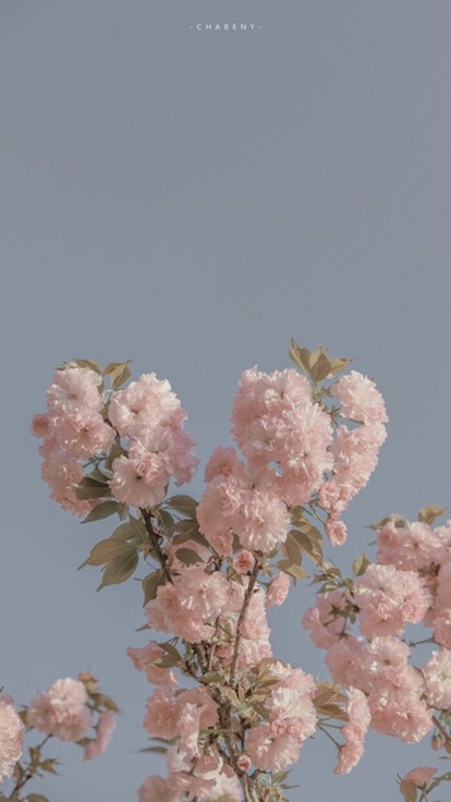 Maura Couple - Sania Ruffle Batik Couple Ori Ndoro Jowi Garansi Termurah Shopee -