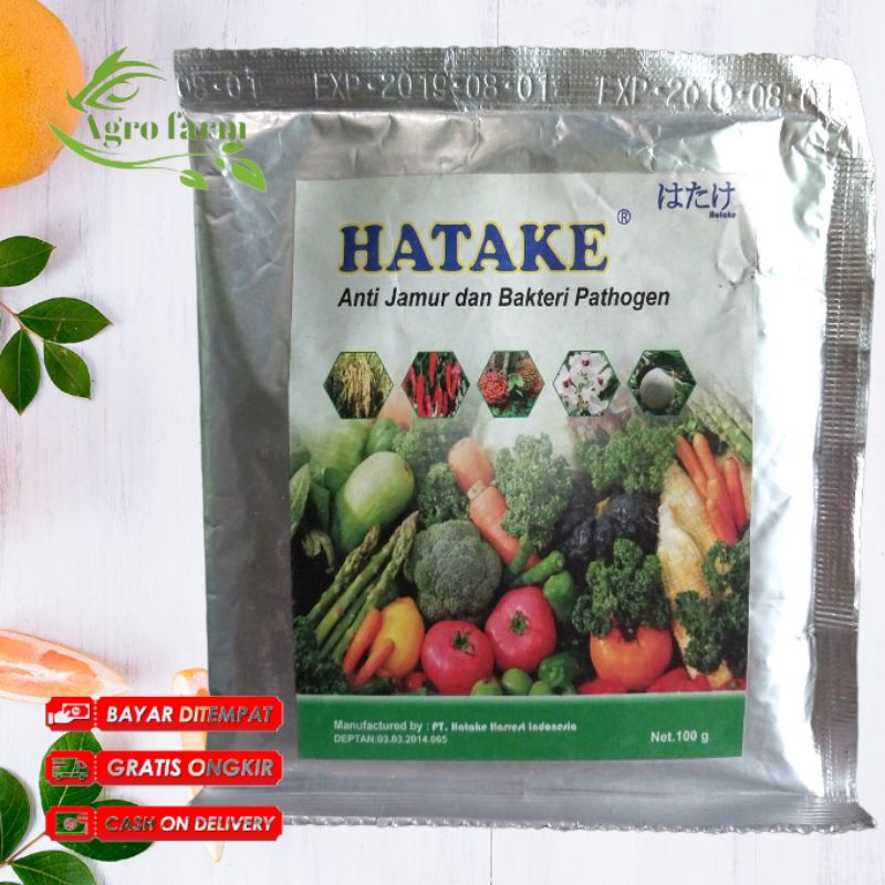 

HATAKE ANTI JAMUR DAN BAKTERI 100GR
