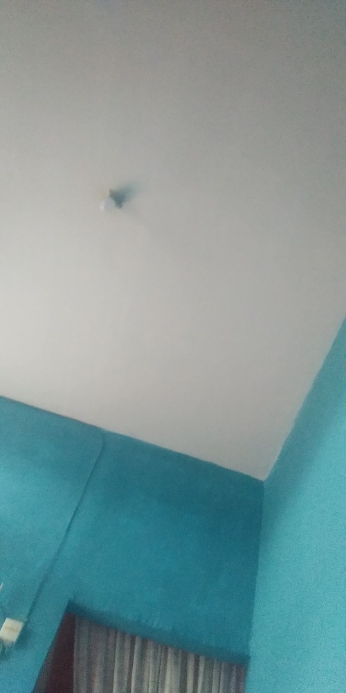 Ready Jumbo Dan Kemeja Anak Batik Couple Brokat Cendrawasih