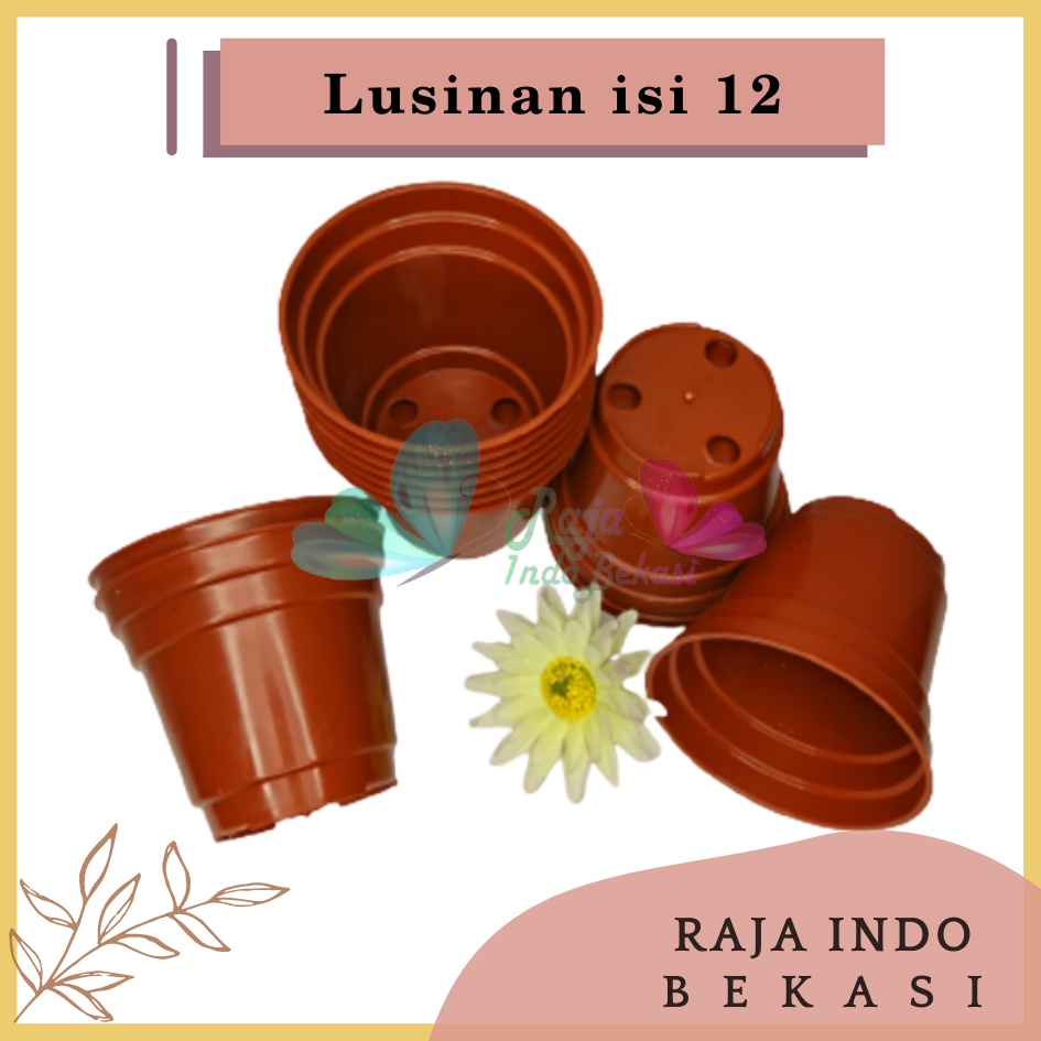 Lusinan Murah Pot Bunga 8cm Coklat Merah Bata Grosir Pot Tanaman Plastik 8 Cm Pot Kaktus 8CM Coklat Sekulen