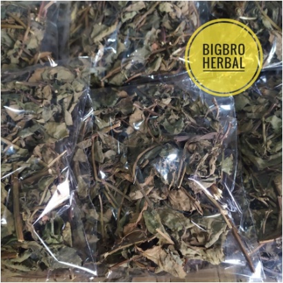 

BIG SALE DAUN HERBAL KUMIS KUCING KERING