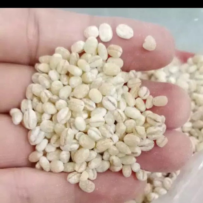 

JALI IMPORT/BIJI BARLEY 100GRAM