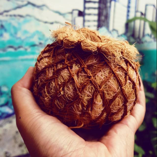 Media kokedama pot sabut kelapa pot kaktus mini sukulen Media kokedama pot sabut kelapa pot kaktus mini sukulen