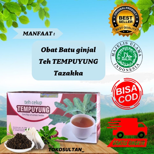 

Teh Celup Obat Batu Ginjal Gempur Batu Alami dan Teh Herbal Tempuyung isi 20 Kantung Sudah ijin BPOM dan HALAL MUI Original.