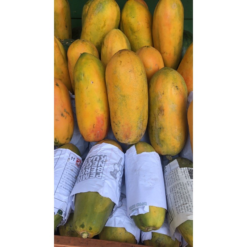 

pepaya California