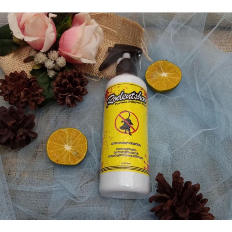 OBAT PENGUSIR TIKUS NON PESTISIDA