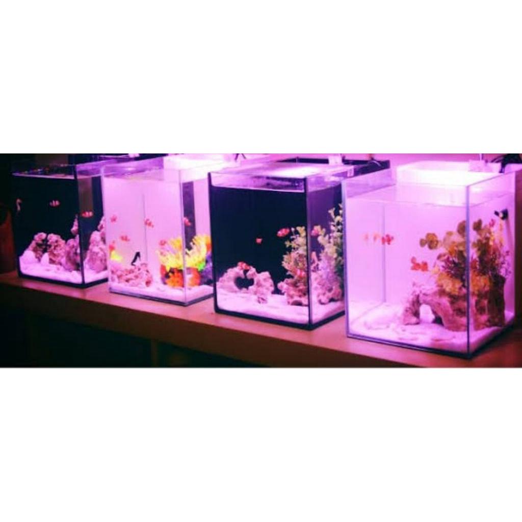 PROMO Lampu Aquarium 50cm WARNA MERAH ( PINK ) / Lampu celup / Lampu led aquarium / Lampu akuarium / Dekorasi akuarium / model t4