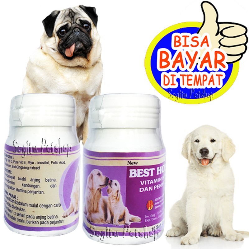 VITAMIN ANJING SUSAH KAWIN PENYUBUR OBAT BIRAHI BEST HORMO DOG SOFTGEL