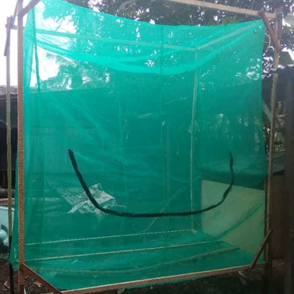 Kandang Lalat Bsf 4 x 1 x 2 Meter - Maggot BSF kandang lalat bsf