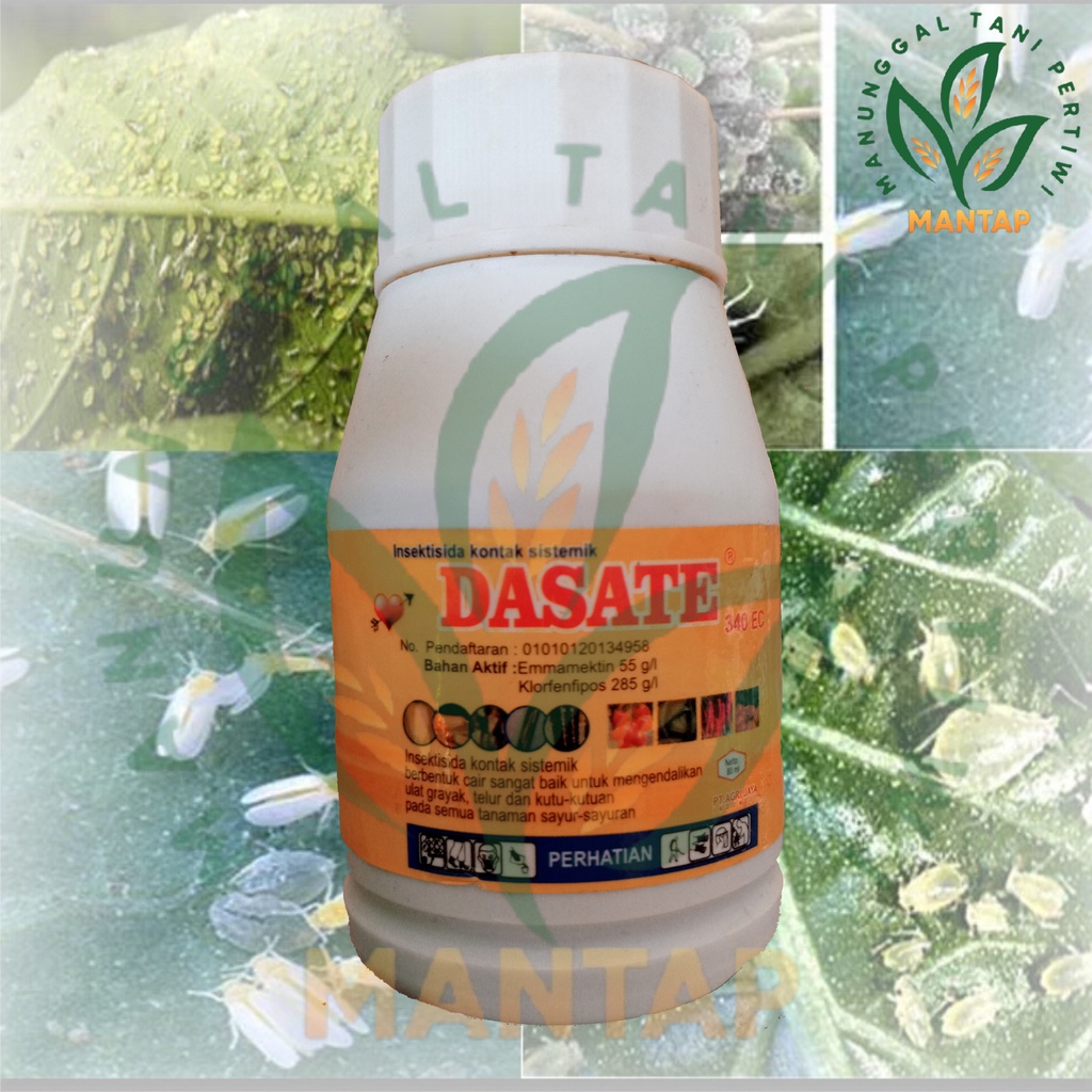 Dasate 340 EC 200 ml Insektisida Kontak Sistemik Untuk Mengendalikan Ulat grayak, Telur dan Kutu Pada Semua Tanaman Sayur Sayuran